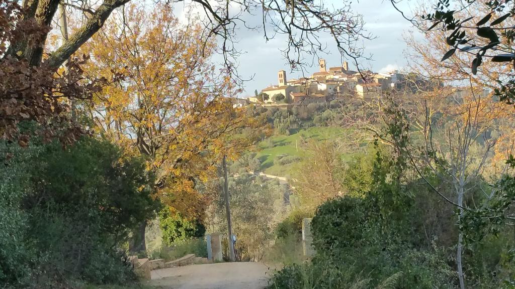 شقة Mattimamihouse Montepescali المظهر الخارجي الصورة